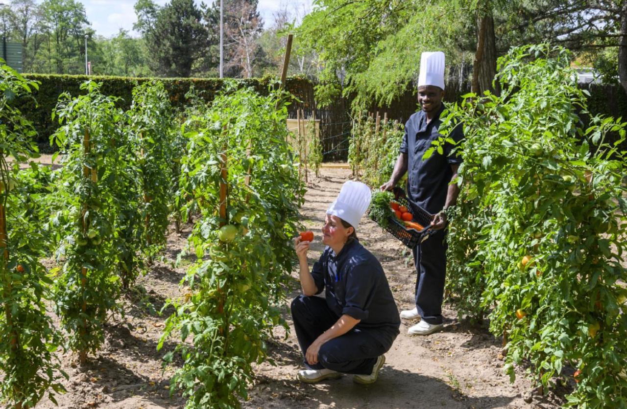Demeures De Campagne Chemins De Sologne A Orleans Hotell Eksteriør bilde